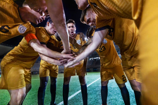 对于埃迪来 对于埃迪来