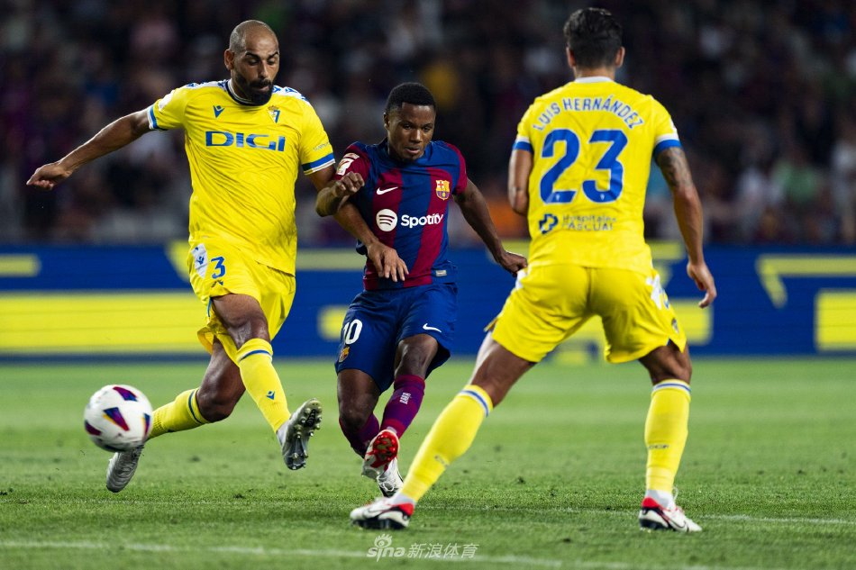 尔斯的情感 尔斯的情感